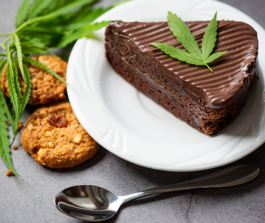Discovering the Culinary World of Cannabis: Infusing Your Favorite Recipes with the Hitoki Trident